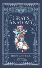 Gray´s Anatomy (Barnes & Noble Collectible Classics: Omnibus Edition) - Gray Henry