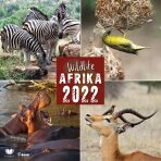 Kalendář 2022 - Wildlife Afrika/nástěnný - 