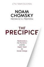 The Precipice : Neoliberalism, the Pandemic and the Urgent Need for Radical Change - Noam Chomsky