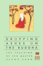 Dropping Ashes on the Buddha : The Teachings of Zen Master Seung Sahn - Stephen A. Mitchell