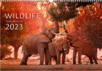 Kalendář nástěnný 2023 - Wildlife, Exclusive Edition - 