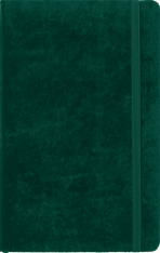 Moleskine Velvet zápisník zelený L - 