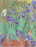 Zápisník Paperblanks - Van Gogh’s Irises - Ultra linkovaný - 