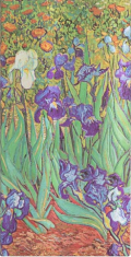 Zápisník Paperblanks - Van Gogh’s Irises - Slim linkovaný - 