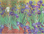 Kniha hostů Paperblanks - Van Gogh’s Irises - nelinkovaná - 