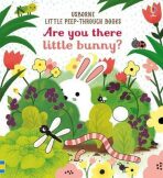 Are You There Little Bunny? - Sam Taplin