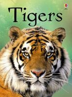 Beginners Tigers - James Maclaine