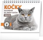 Stolní kalendář Kočky - se jmény koček 2023 - 
