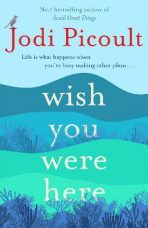 Wish You were here - Jodi Picoultová