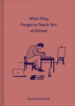 What They Forgot To Teach You At School - The School of Life
