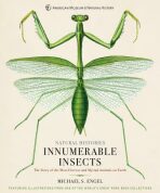 Innumerable Insects : The Story of the Most Diverse and Myriad Animals on Earth - Engel Michael S.