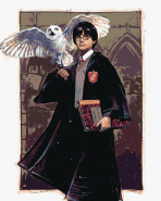 Malování podle čísel 40 x 50 cm Harry Potter - Harry a Hedvika v Bradavicích - 