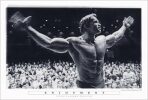 Plakát 61x91,5cm - Arnold Schwarzenegger - Enjoyment - 