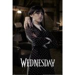 Plakát - Wednesday – Room - 