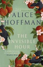 The Invisible Hour - Alice Hoffman