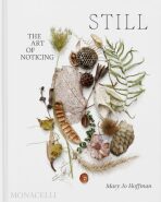 STILL: The Art of Noticing - Mary Jo Hoffman
