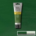 Akrylová barva Galeria 1000ml – 599 sap green - 