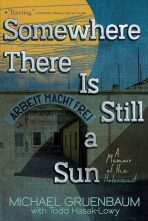 Somewhere There Is Still a Sun (Defekt) - Michael Gruenbaum