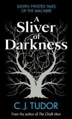A Sliver of Darkness (Defekt) - C. J. Tudorová