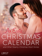 An Erotic Christmas Calendar and Other Steamy Christmas Short Stories - LUST authors
