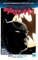 Batman 01: Já jsem Gotham V4 - Finch, David,King, Tom
