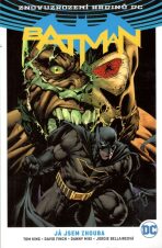 Batman: Já jsem zhouba - David Finch,Tom King