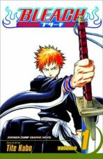 Bleach 1: The Death and the Strawberry - Tite Kubo