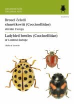 Brouci čeledi slunéčkovití (Coccinellidae) / Ladybird beetles (Coccinellidae) - Oldřich Nedvěd