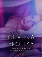 Chvilka erotiky: více než 9 hodin erotických povídek - Andrea Hansen, Anita Bang, ...