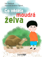 Co věděla moudrá želva - Iva Gecková,Kristina Cigrová