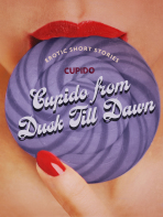 Cupido from Dusk Till Dawn: A Collection of the Best Erotic Short Stories - Cupido