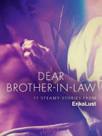Dear Brother-in-law - 11 steamy stories from Erika Lust - Various authors