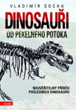 Dinosauři od pekelného potoka - Vladimír Socha