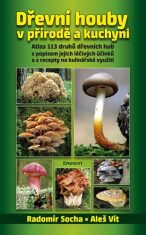 Dřevní houby v přírodě a kuchyni - Radomír Socha,Vít Aleš