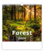 Forest/Wald/Les - nástěnný kalendář 2024 - 