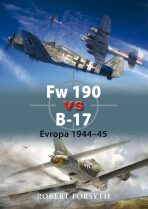 Fw 190 vs B-17 - Robert Forsyth