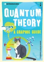 Introducing Quantum Theory: A Graphic Guide - McEvoy