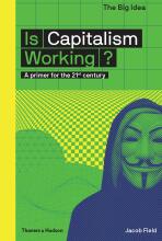 Is Capitalism Working? A primer for the 21st century (The Big Idea) - Jacob Field,Matthew Taylor