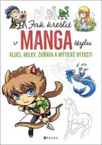 Jak kreslit v manga stylu - kolektiv autorů