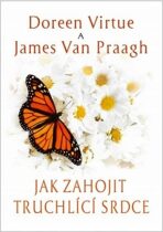 Jak zahojit truchlící srdce - Doreen Virtue,James van Praagh
