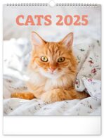 NOTIQUE Nástěnný kalendář Kočky 2025, 30 x 34 cm - 