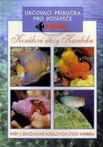 Korálové útesy v karibiku - Určovací příručka pro potapěče - Ryby a živočichové korálových útesů Karibiku - 