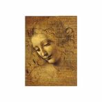 Leonardo da Vinci: Tvář mladé dívky - Puzzle/250 dílků - 