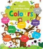 Lift the Flap Colours Book - Felicity Brooks