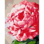 Malování podle čísel Rosa – 652 květina - 
