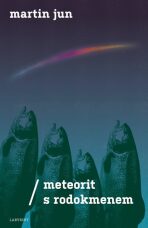 Meteorit s rodokmenem - Jun Martin