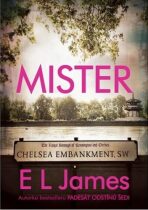 Mister (Defekt) - E.L. James