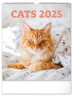 Nástěnný kalendář Kočky 2025, 30 × 34 cm - 