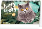 NOTIQUE Stolní kalendář Kočky – Mačky CZ/SK 2025, 23,1 x 14,5 cm - 