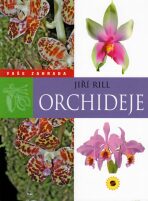 Orchideje - Vaše zahrada - Rill Jiří